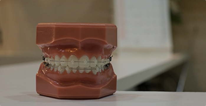 dental-insurance Banner